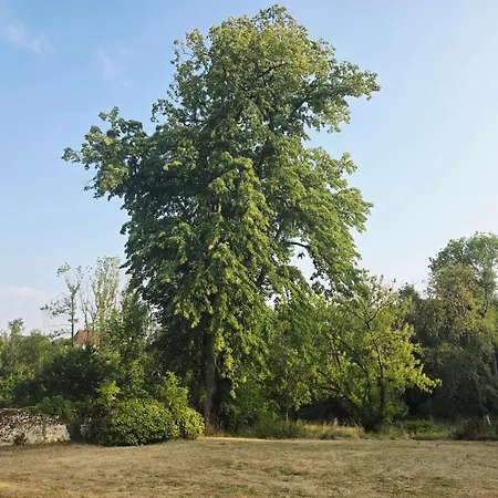 Holiday home D'hotes Les Sources Essomes-sur-Marne